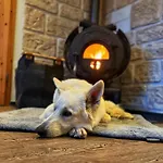 Busches Butze St Andreasberg Harz Mit Sauna & Kamin Διαμέρισμα *
