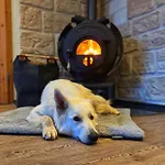Busches Butze St Andreasberg Harz Mit Sauna & Kamin Apartament Sankt Andreasberg