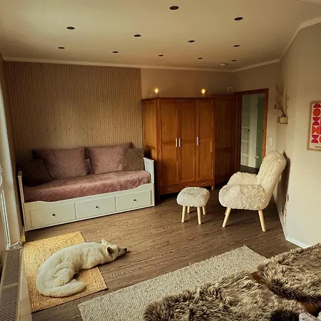 Busches Butze St Andreasberg Harz Mit Sauna & Kamin * Sankt Andreasberg
