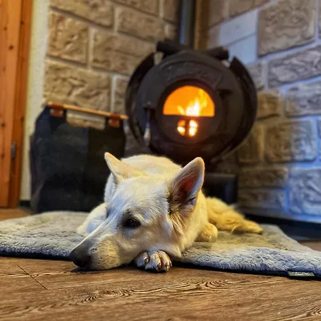 Busches Butze St Andreasberg Harz Mit Sauna & Kamin アパート *