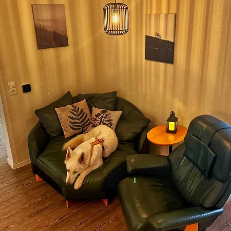Apartamento Busches Butze St Andreasberg Harz Mit Sauna & Kamin *