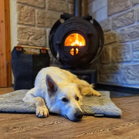 Busches Butze St Andreasberg Harz Mit Sauna & Kamin Apartamento Sankt Andreasberg