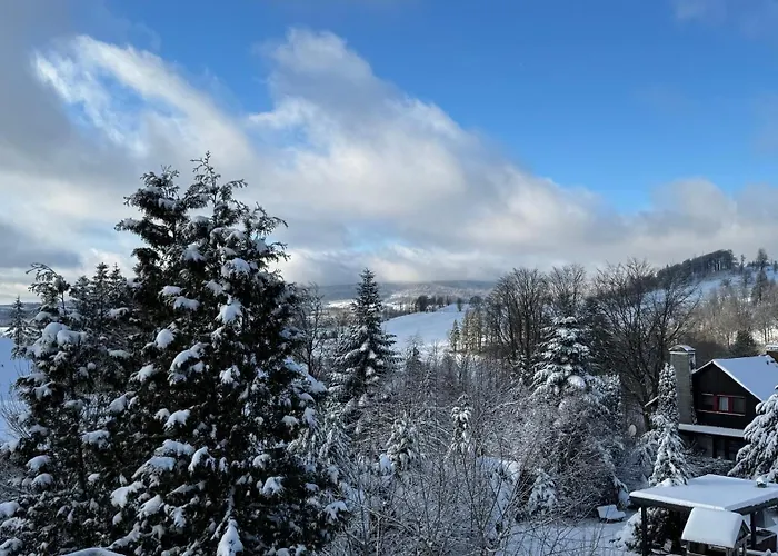 Daire Busches Butze St Andreasberg Harz Mit Sauna & Kamin *